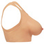 Master Series - Perky Pair D-Cup Silicone Breast