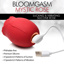 Bloomgasm - Mystic Rose