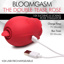 Bloomgasm - The Double Tease Rose